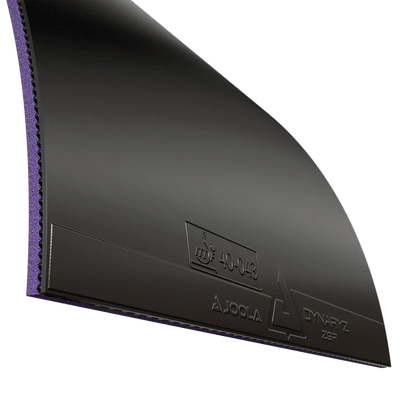 Black Joola Dynaryz ZGR rubber showing the topsheet and sponge edge